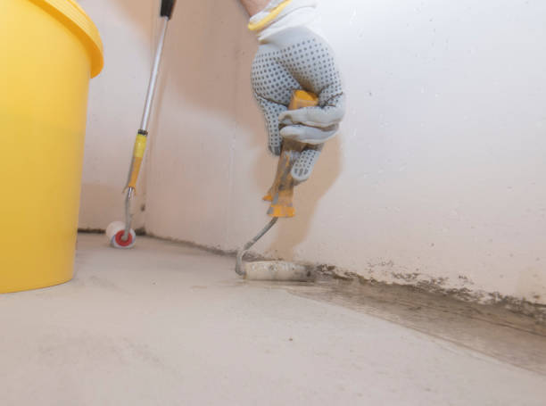 Best Pest Prevention Services  in Big Pine, CA